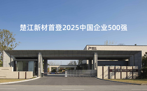 楚江新材首登2025中国企业500强